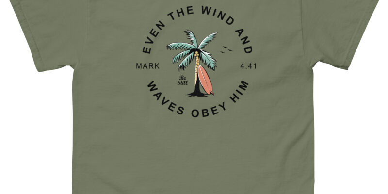 Mark 4:41